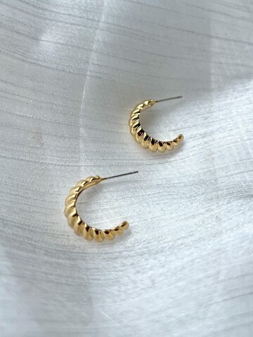 Kamakula Earrings 'Twisted Croissant' in Gold