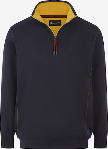 BABISTA Sweatshirt 'Silvassi' in Grey: front