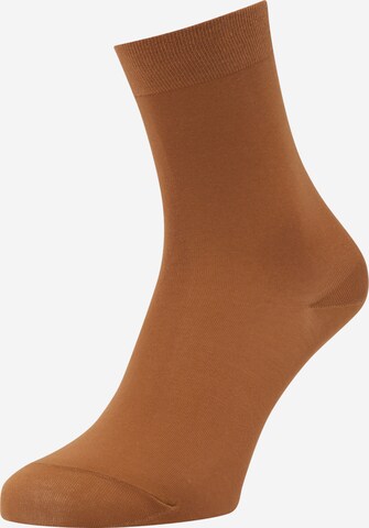 FALKE Socks in Brown: front