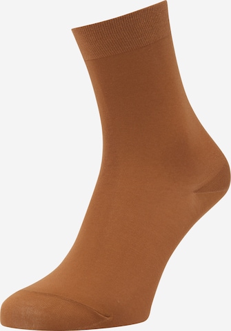FALKE Sockor i brun: framsida