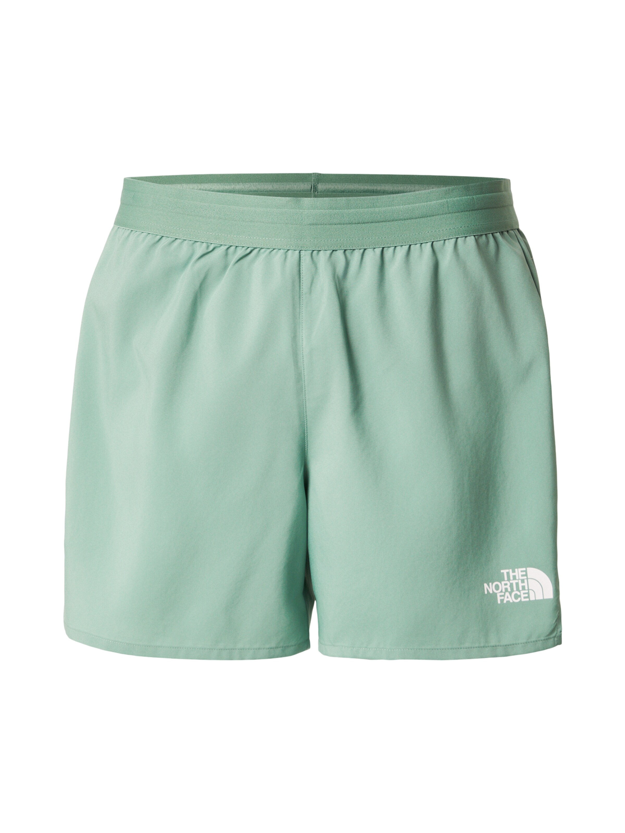 THE NORTH FACE Loosefit Sportbroek 'LIGHTBRIGHT' in Groen: voorkant