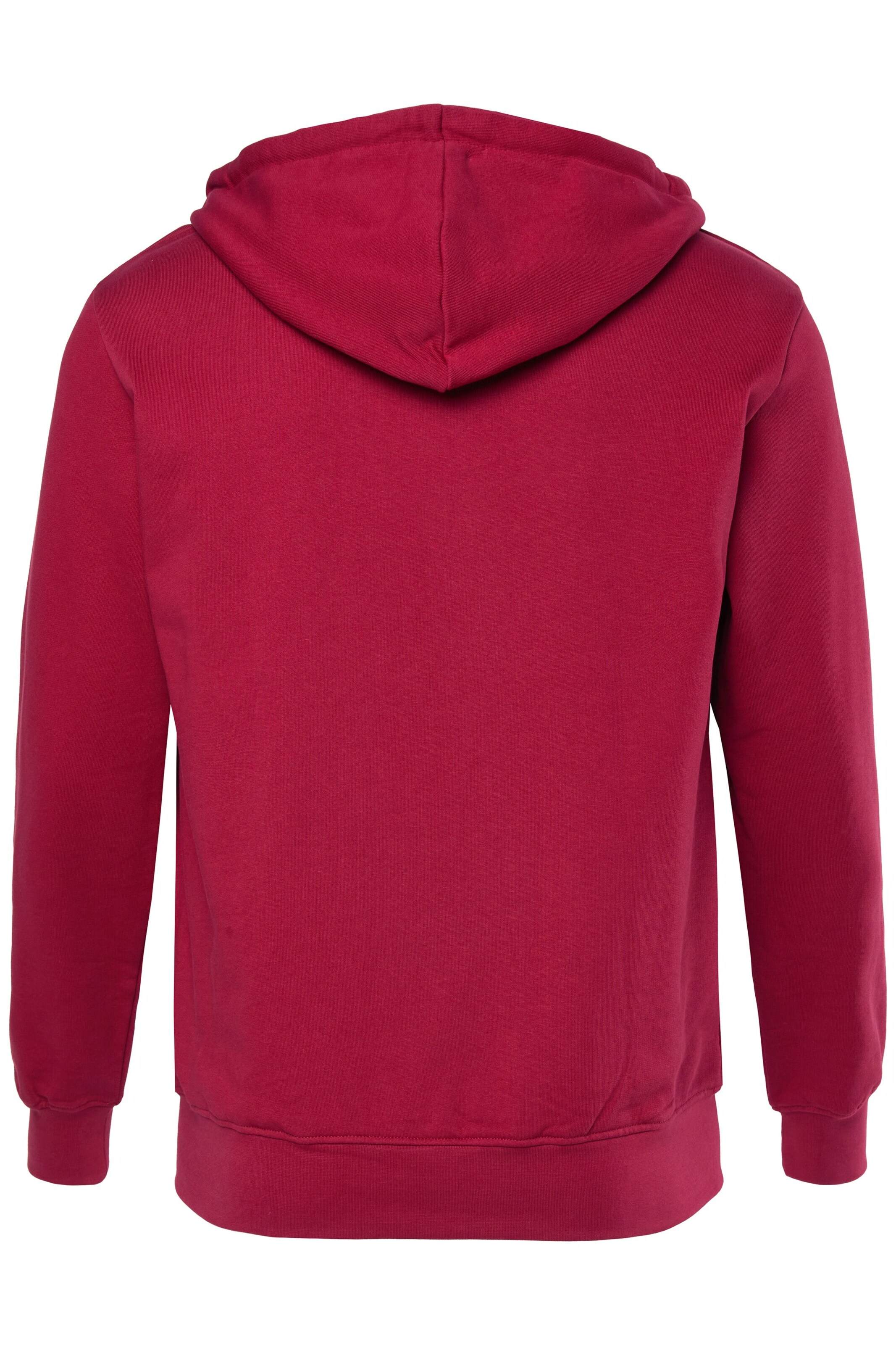 Men Plus Sweatshirt in Rood