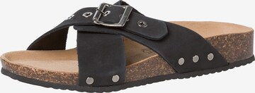 TAMARIS Mules in Black: front