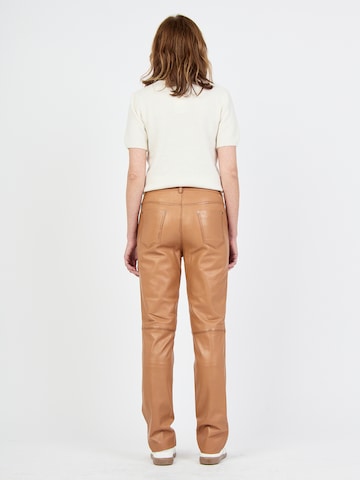 JCC Regular Hose in Braun