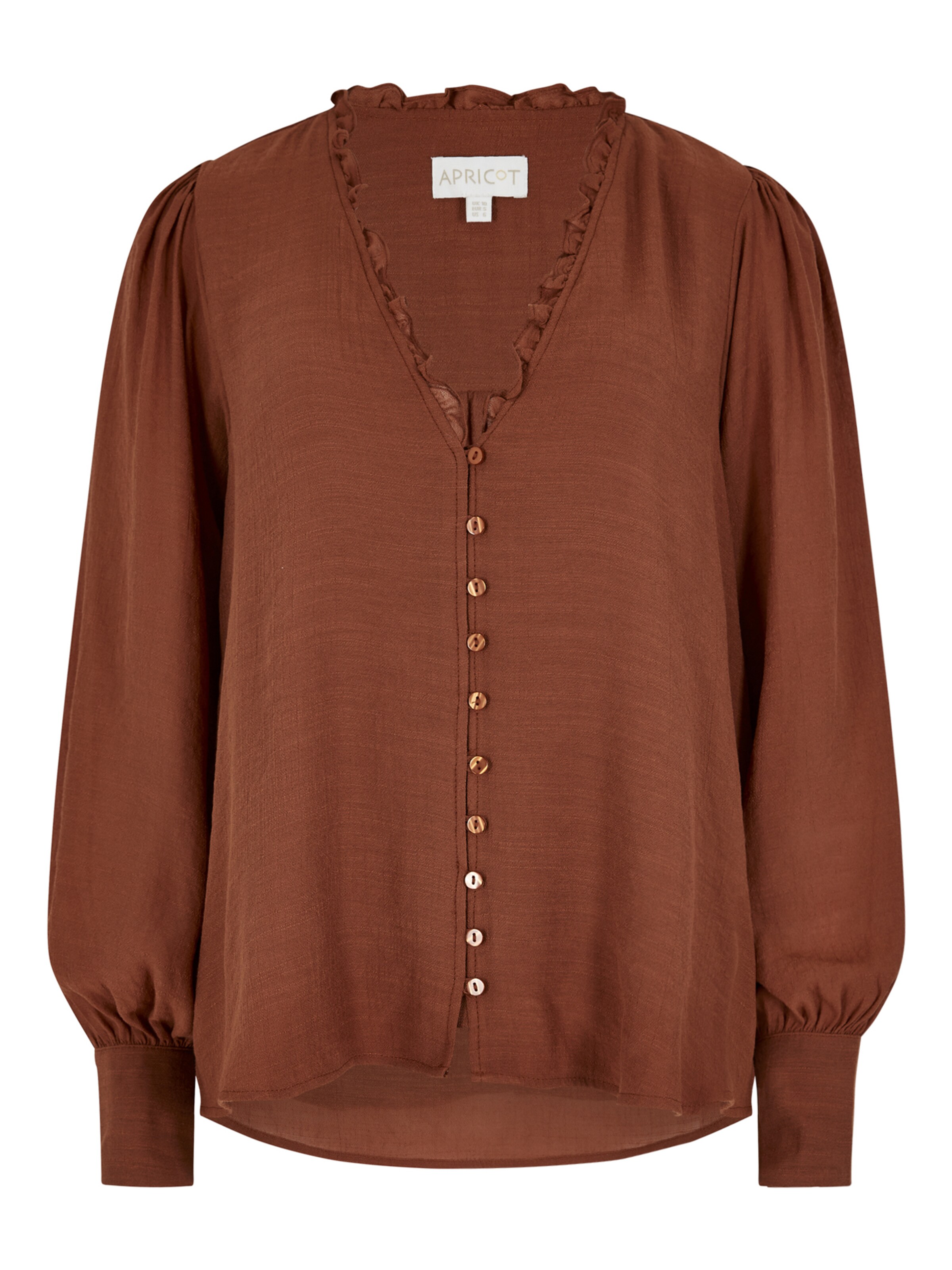 Apricot Blouse in Brown: front