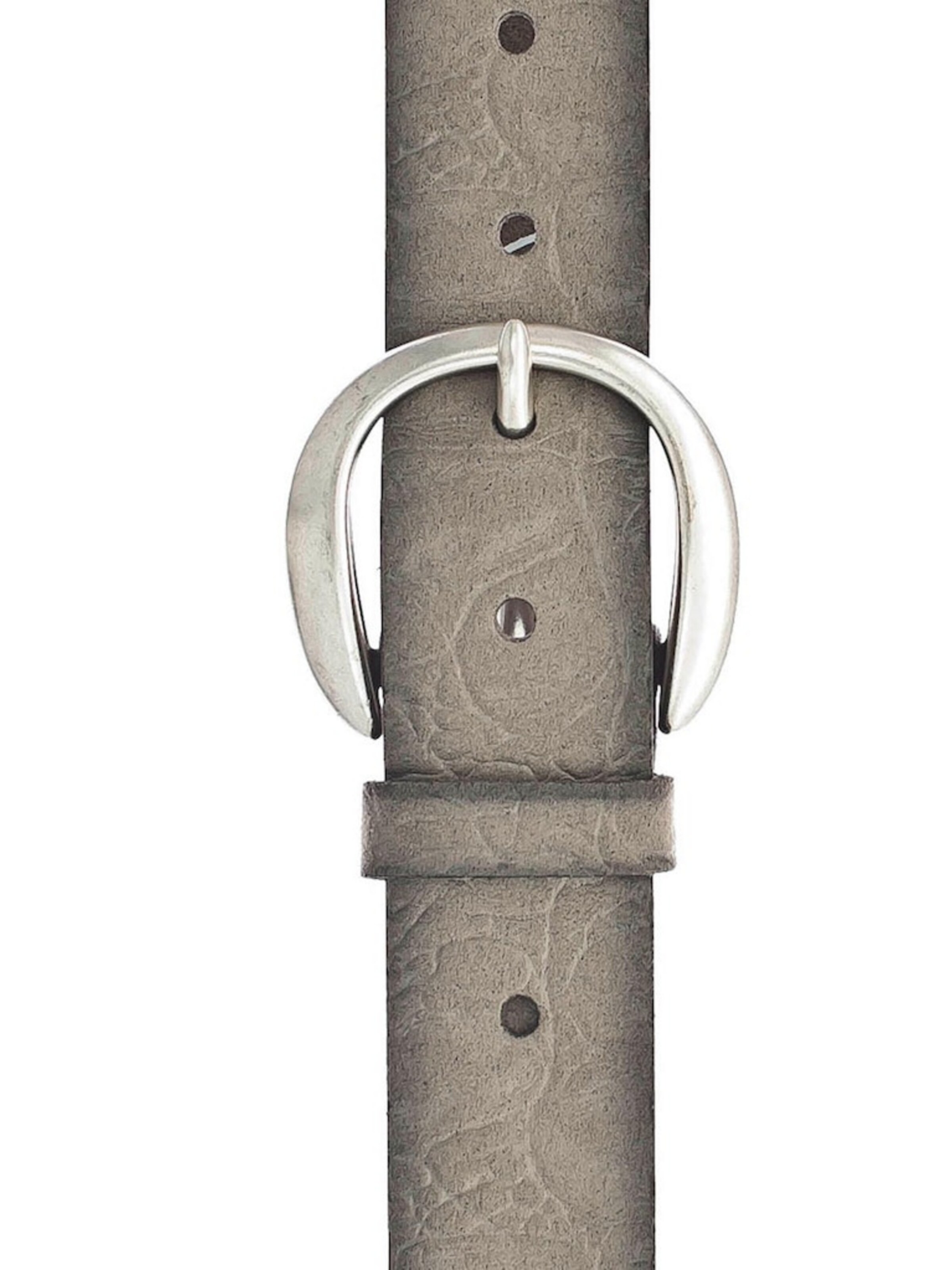 VANZETTI Riem in Grijs