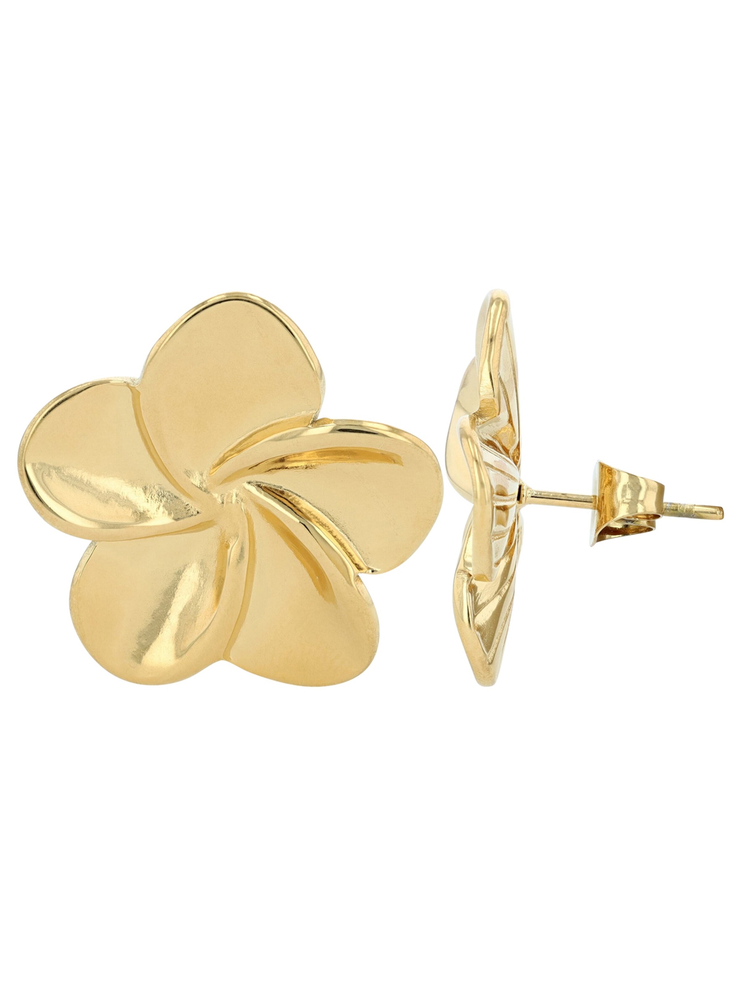 Akzent Earrings 'langlebig' in Gold