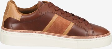 GANT Sneakers in Brown