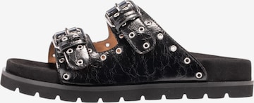 JOOP! Portemonnaie 'Unico Edition' in Schwarz: Vorderseite