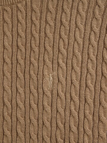 Polo Club Pullover in Braun