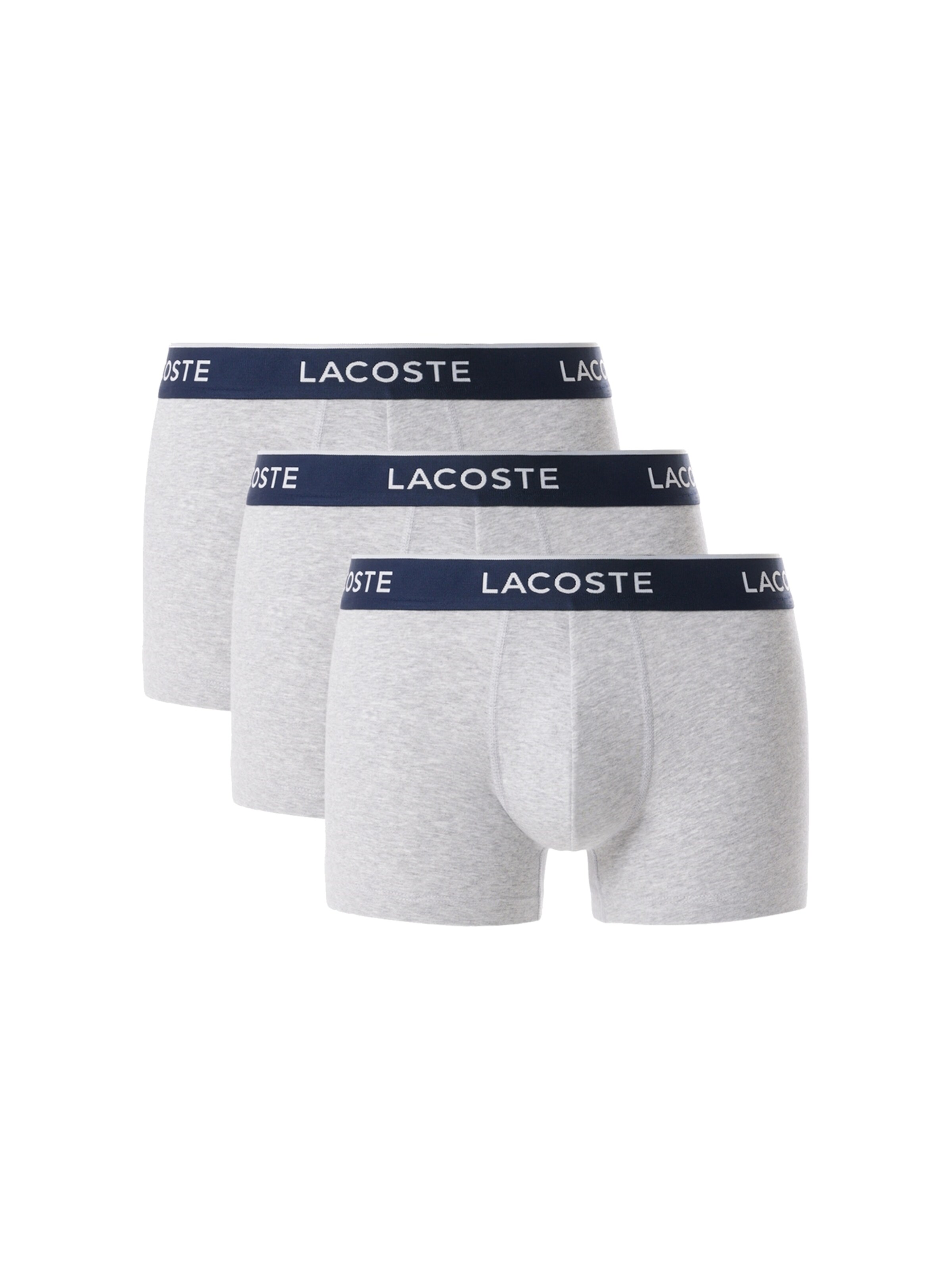 LACOSTE Boxer shorts in Grey: front