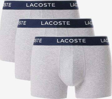 LACOSTE Boxer shorts in Grey: front