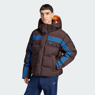ADIDAS ORIGINALS Winterjas in Bruin: voorkant