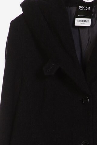 SAMOON Jacket & Coat in XXL in Black