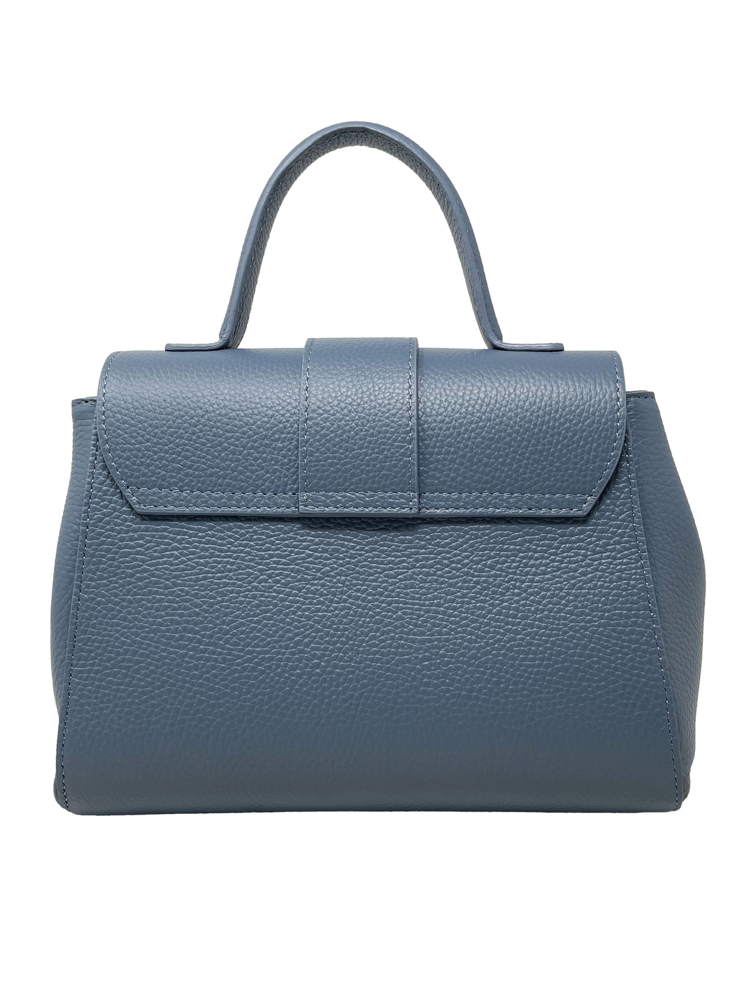 CHICCA BORSE Handbag in Blue