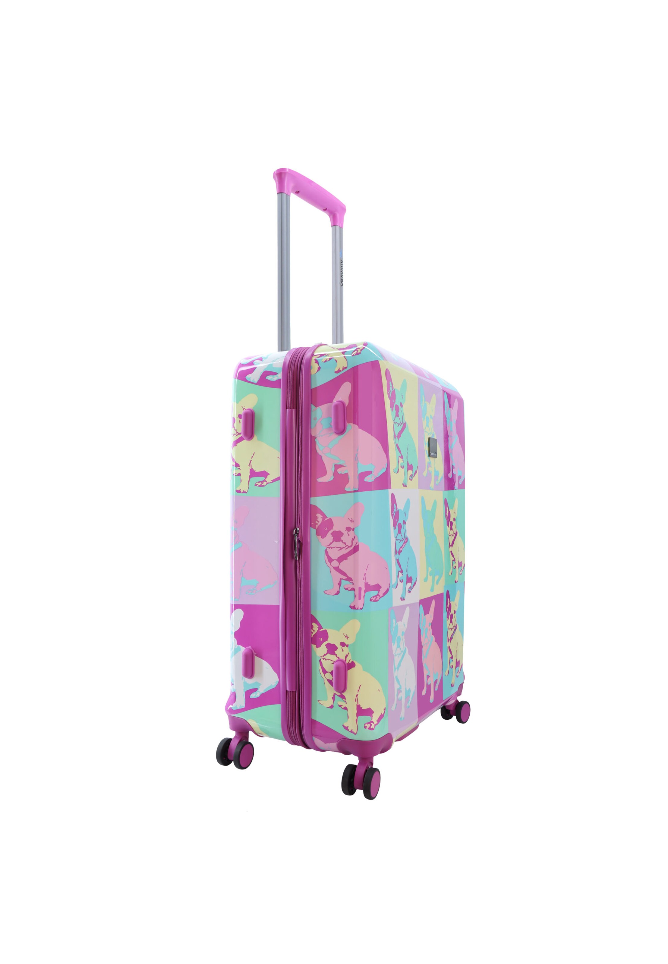 Saxoline Blue Suitcase in Mixed colors