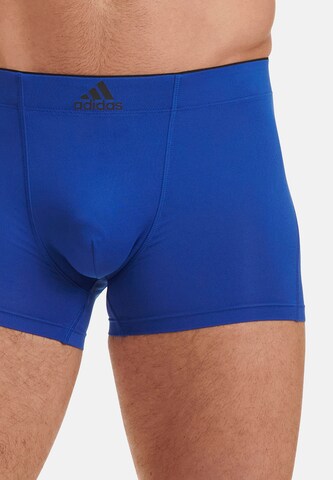 ADIDAS SPORTSWEAR Retro Boxer ' Active Recycled ' in Blau