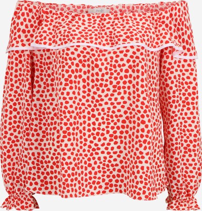 Wallis petite - Der absolute TOP-Favorit