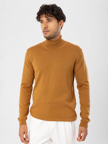Dandalo Sweater in Brown: front