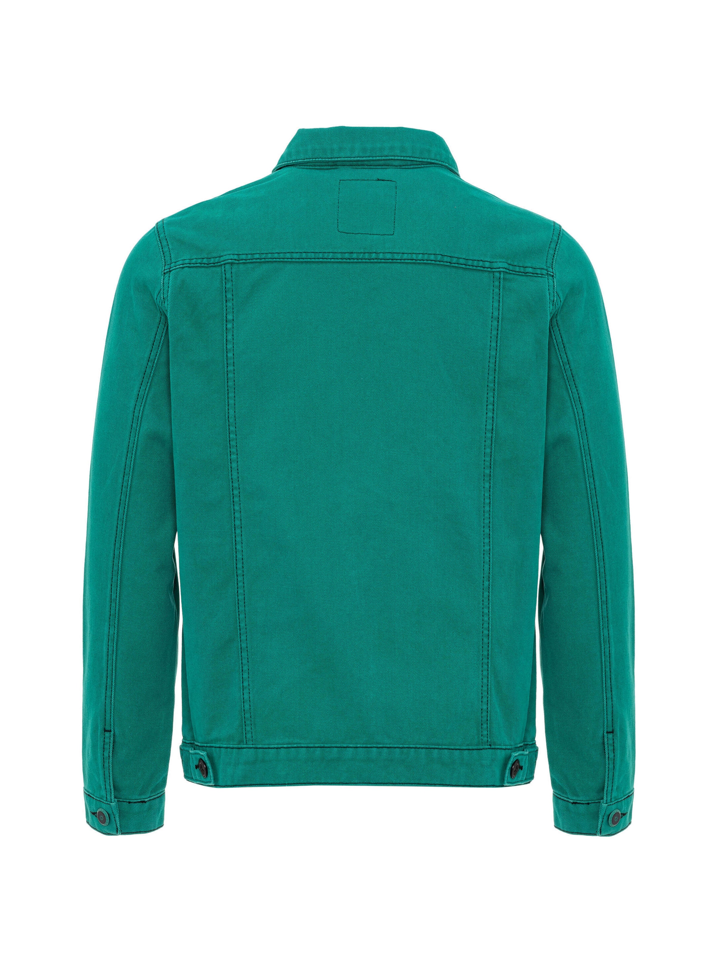 Veste mi-saison 'CJ289' CIPO & BAXX en vert