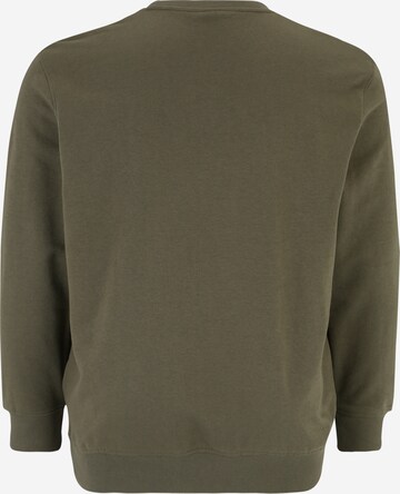 Jack & Jones Plus Sweatshirt 'SPLASH' in Green