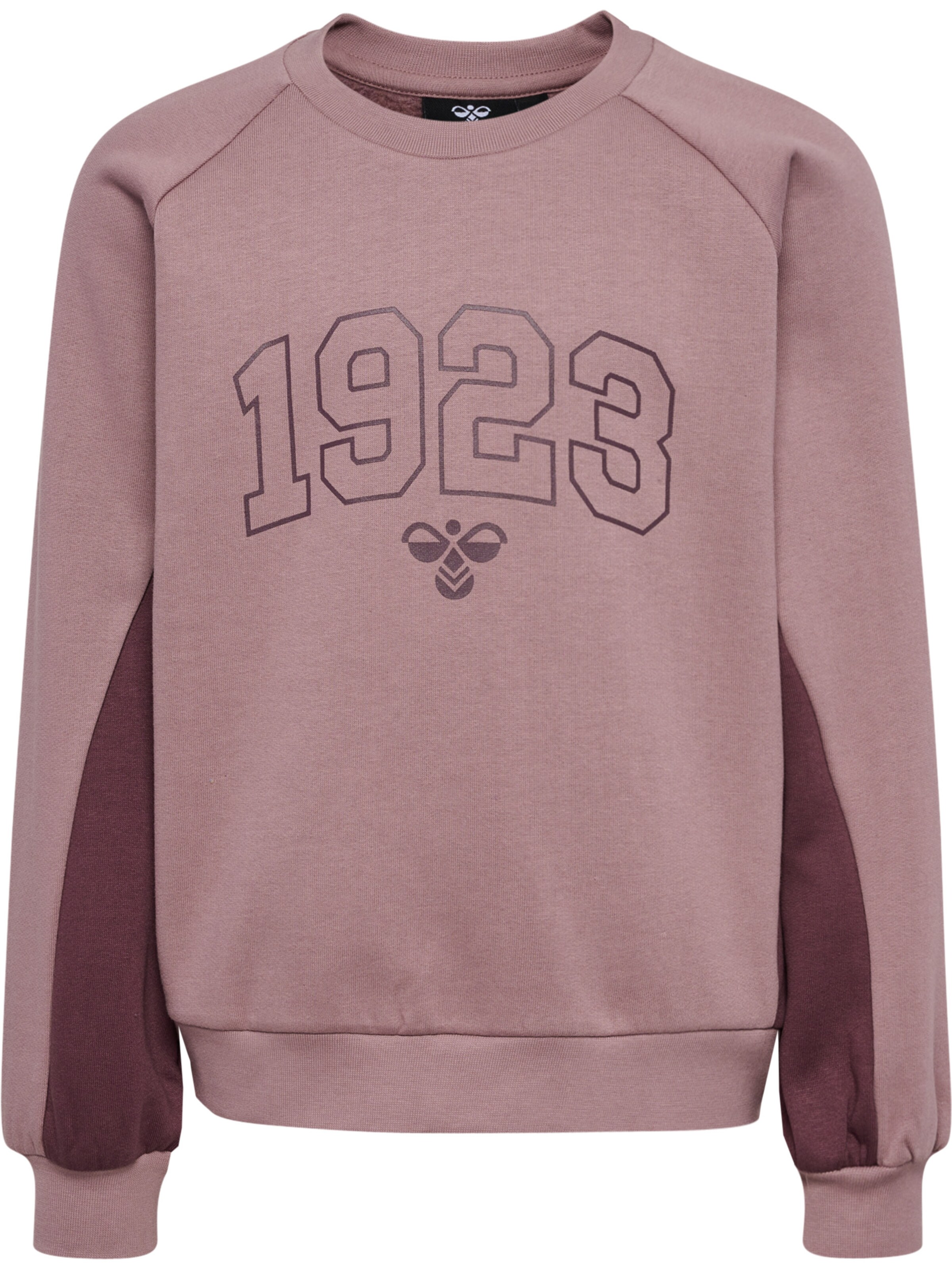 Hummel Sweatshirt 'Kanna' in Lila: voorkant