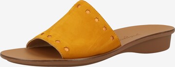 Paul Green Mules in Yellow: front