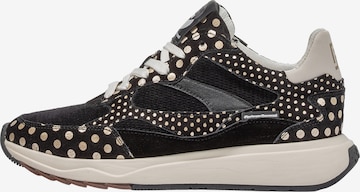 Floris van Bommel Sneaker 'Suvi 05' in Schwarz: Vorderseite