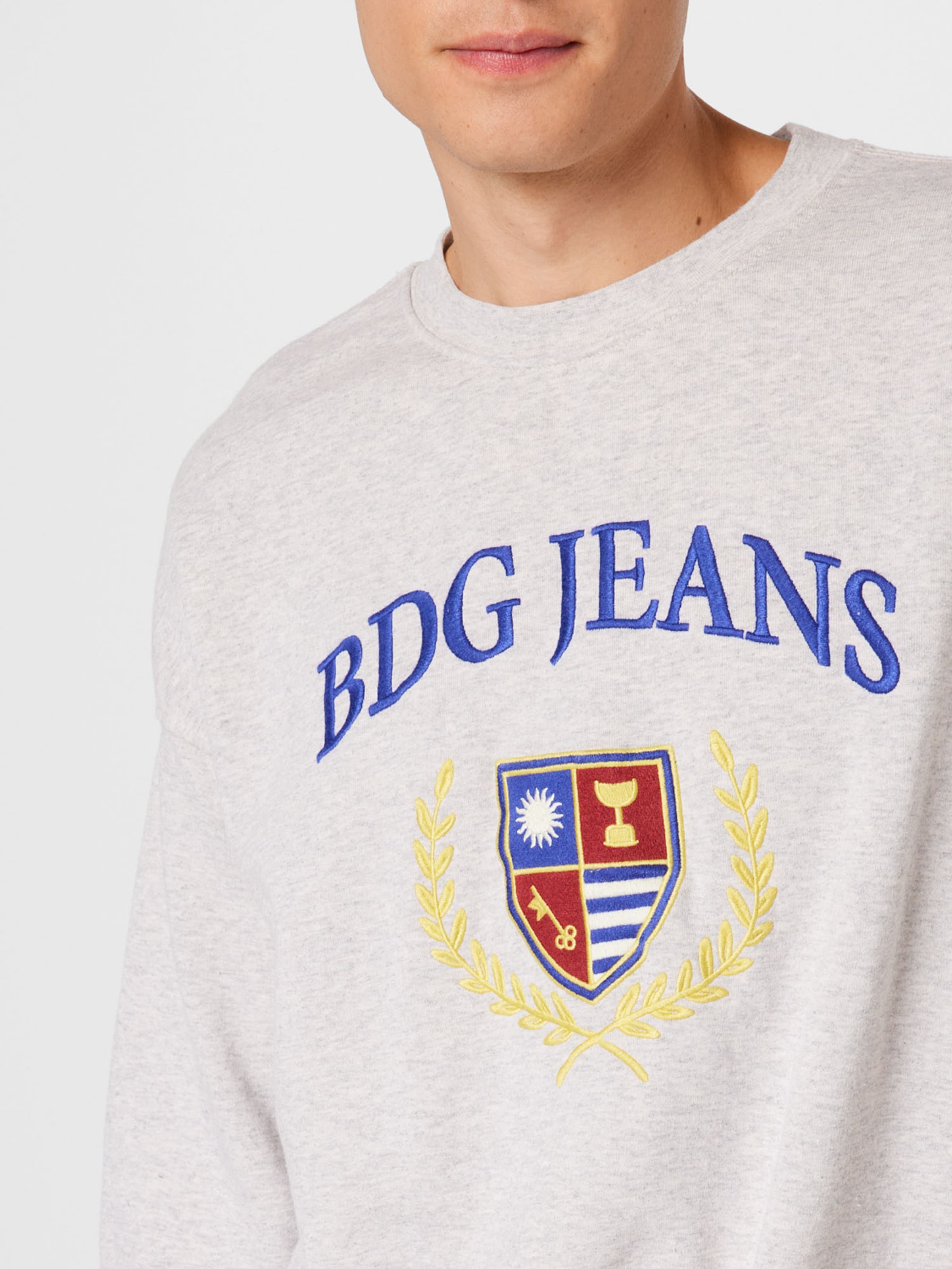 BDG Urban Outfitters Sweatshirt in Graumeliert 