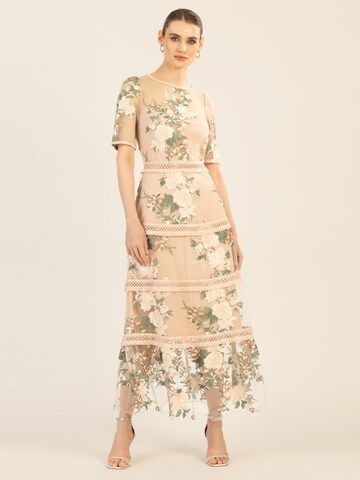 APART Evening Dress in Mixed colors: front