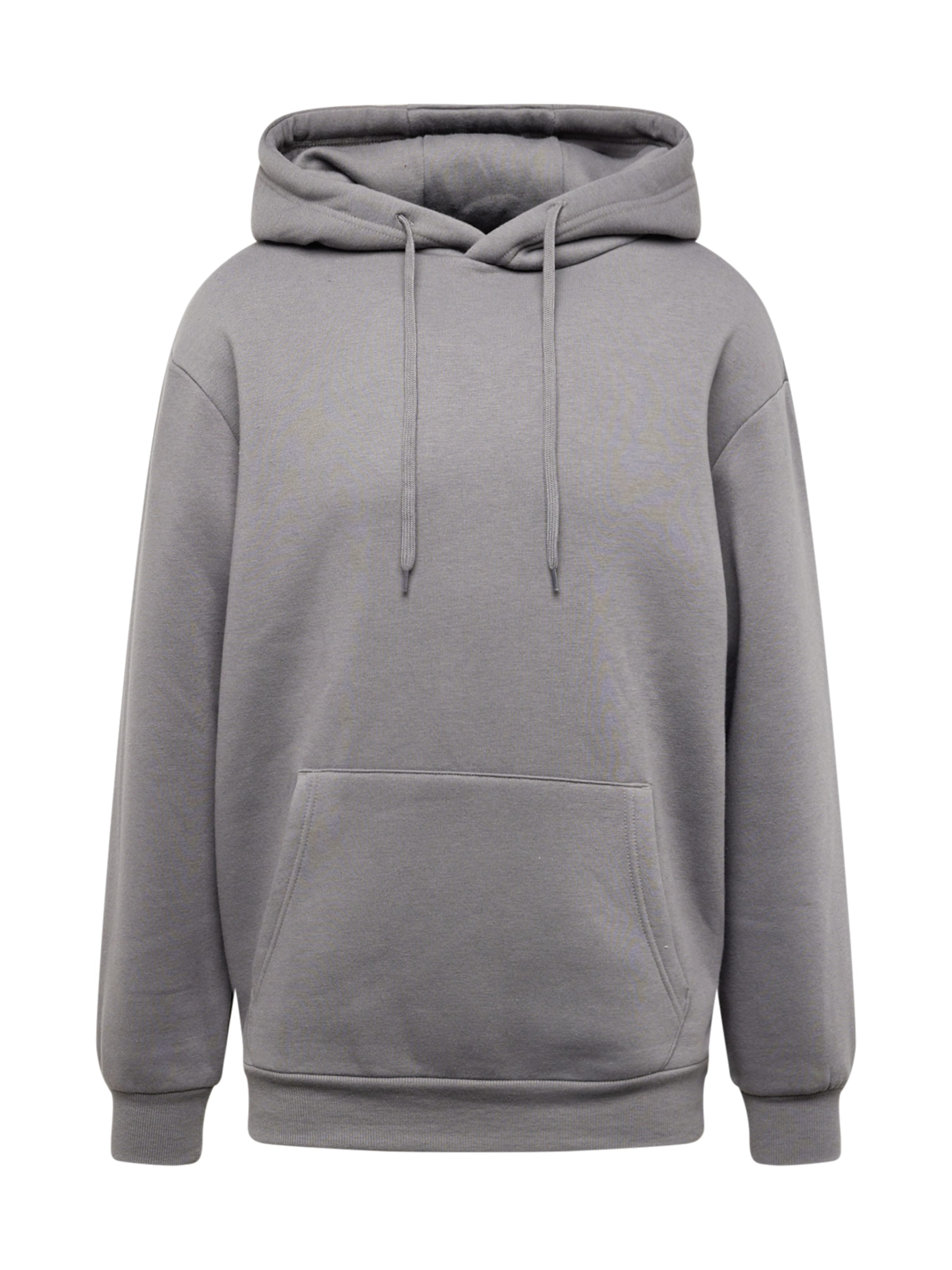 ABOUT YOU Μπλούζα φούτερ 'Dian Hoodie' σε γκρι: μπροστά