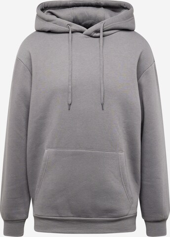 Sweat-shirt 'Dian Hoodie' ABOUT YOU en gris : devant