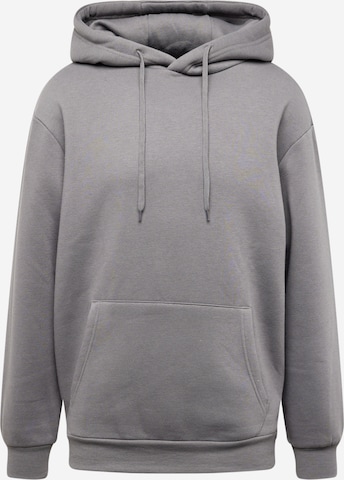 ABOUT YOU Sweatshirt 'Dian Hoodie' in Grey: front