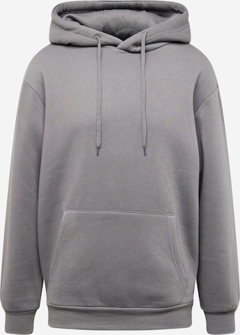 ABOUT YOU - Sweatshirt 'Dian Hoodie' em cinzento: frente