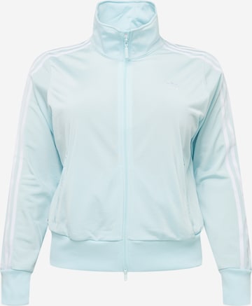 ADIDAS ORIGINALS Zip-Up Hoodie 'Adicolor Classics Firebird Primeblue ' in Blue: front