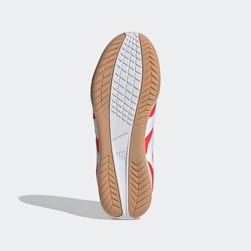 Chaussure de sport 'Predator' ADIDAS PERFORMANCE en rouge