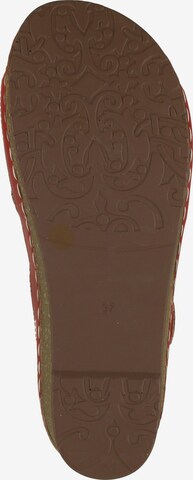 Laura Vita Sandalen met riem in Rood