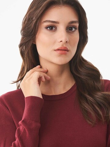 Organication Pullover in Rot