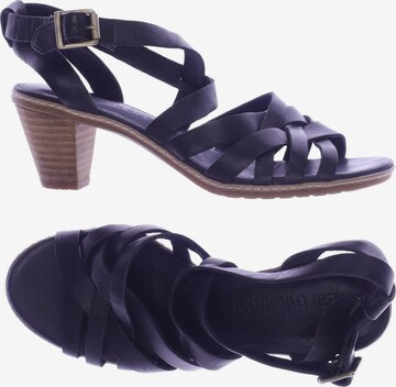 TIMBERLAND Sandals & High-Heeled Sandals in 37,5 in Black: front