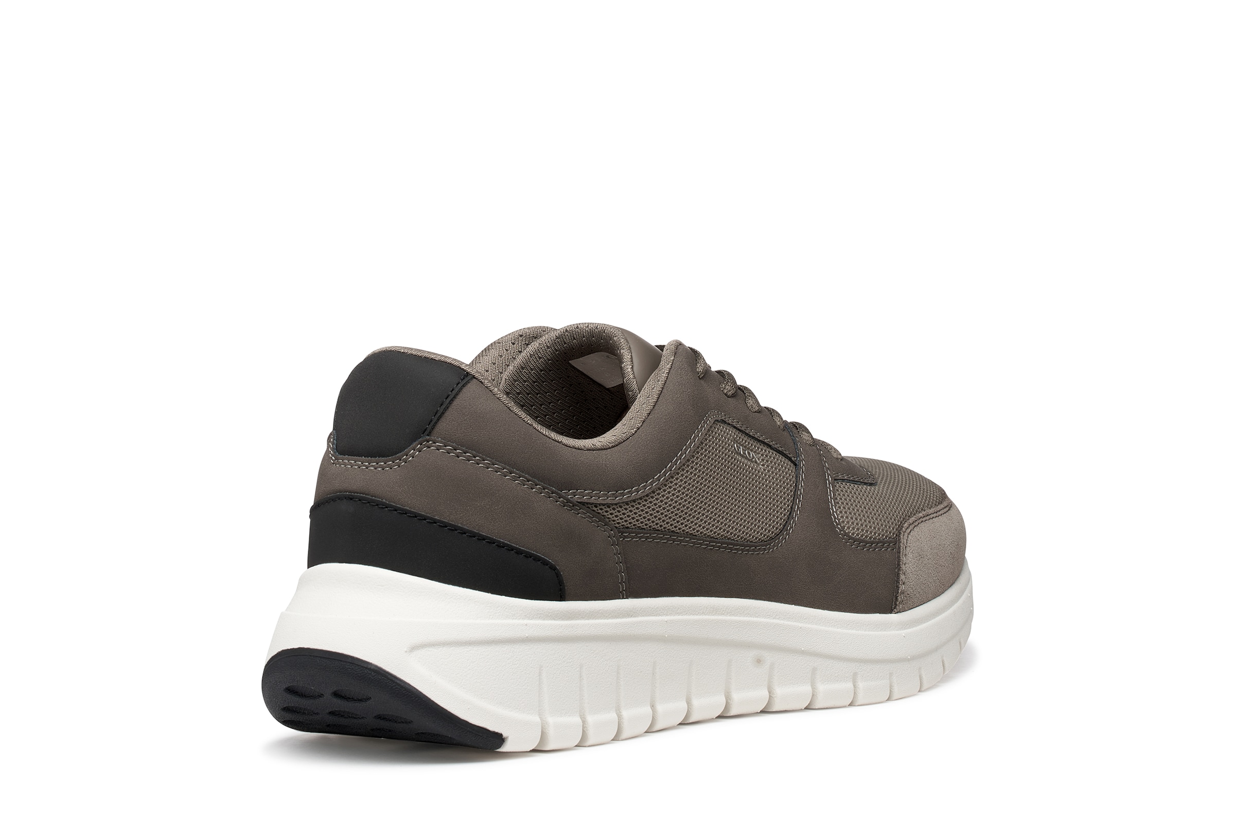 GEOX Sneaker in Grün