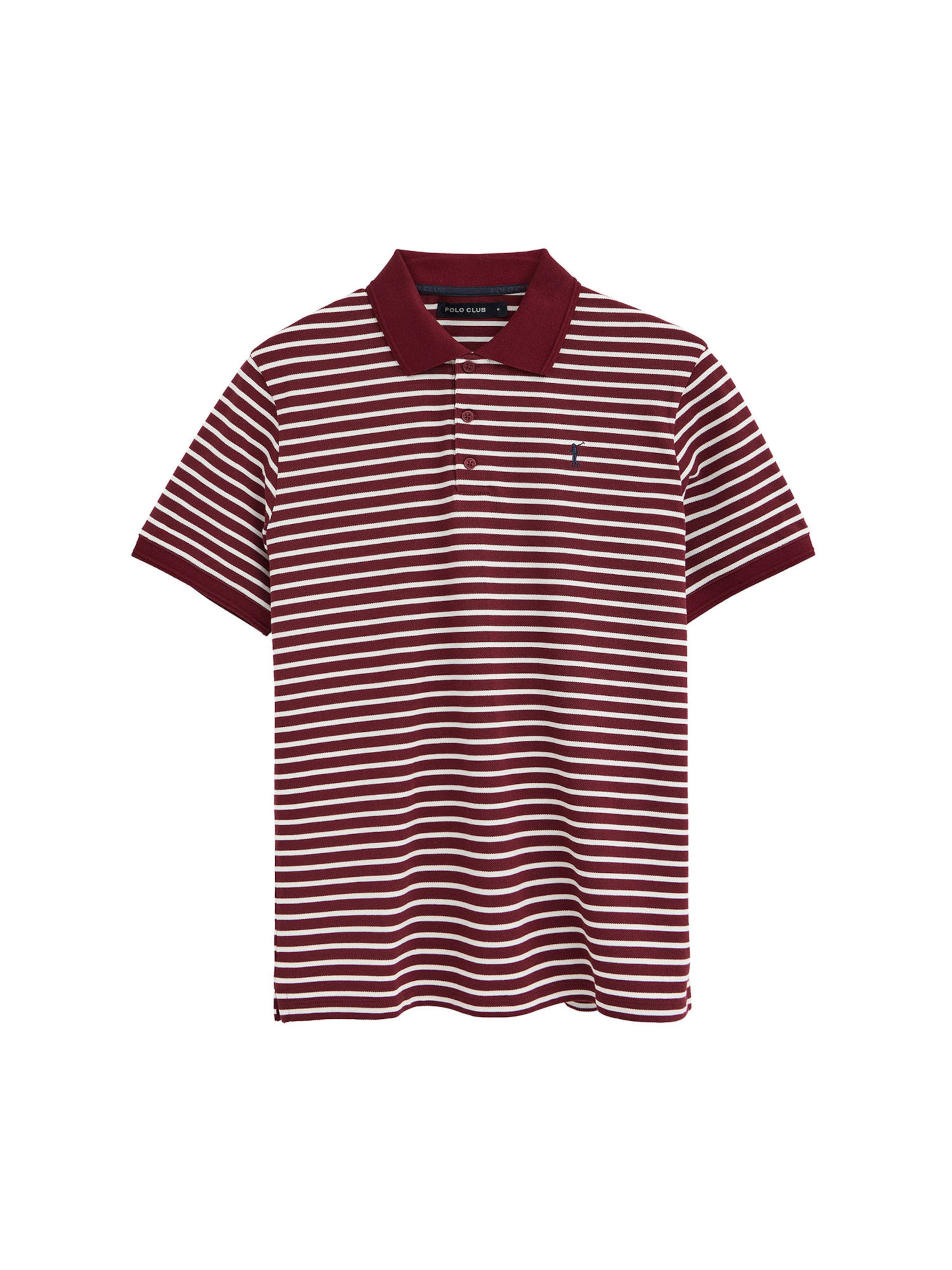 Polo Club Shirt in XXXL in Bordeaux / White, Item view