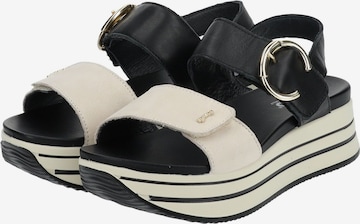 IGI&CO Sandals in Black