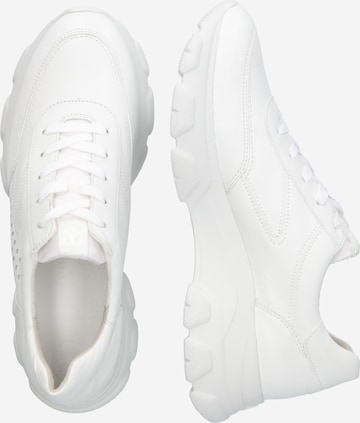 Paul Green Sneakers 'MASTERCALF' in White