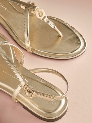 B by Ted Baker Zehentrenner in Gold