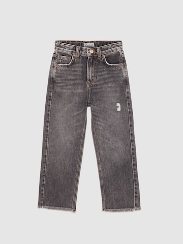 LTB Wide leg Jeans 'Oliva' in Grijs: voorkant