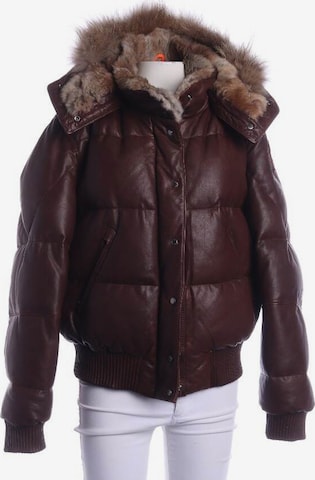 Parajumpers Jacket & Coat in L in Brown: front