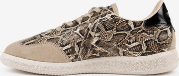 Sneaker bassa 'BARRU' di MUNICH in marrone: frontale