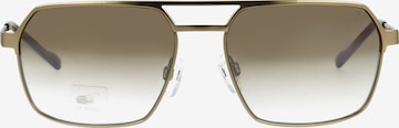 TITANFLEX Sunglasses in Gold: front