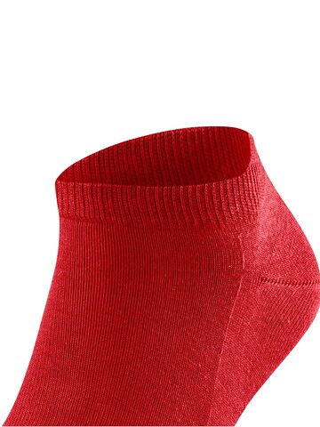 FALKE Socks 'Family' in Red