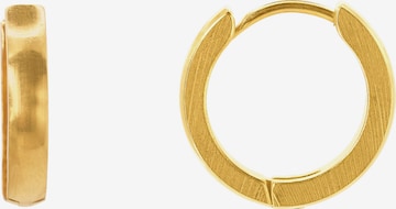 Heideman Earring 'Lukas' in Gold: front